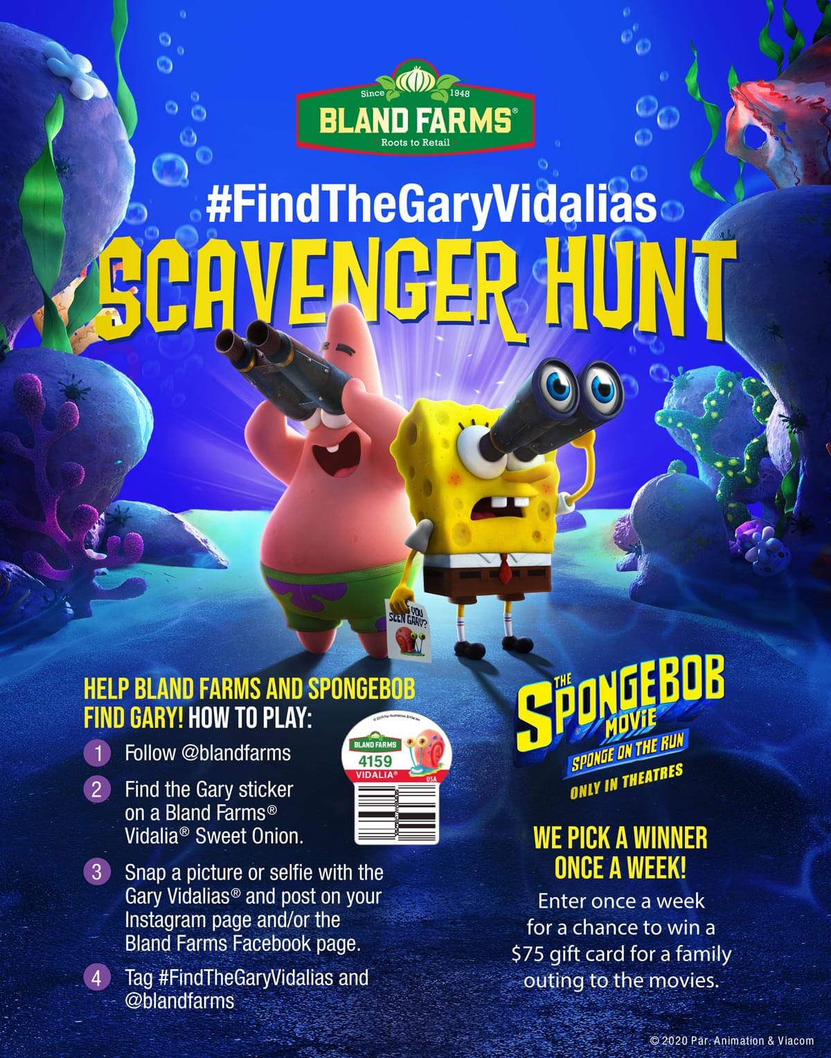 Find The Gary Vidalias