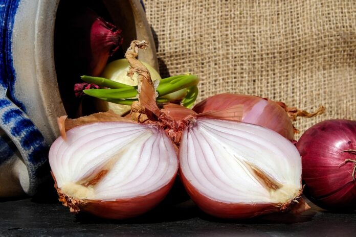 The top 10 onion brands and processors in the United States