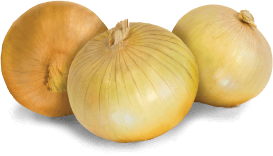 get-out-back-onions
